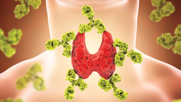 thyroid